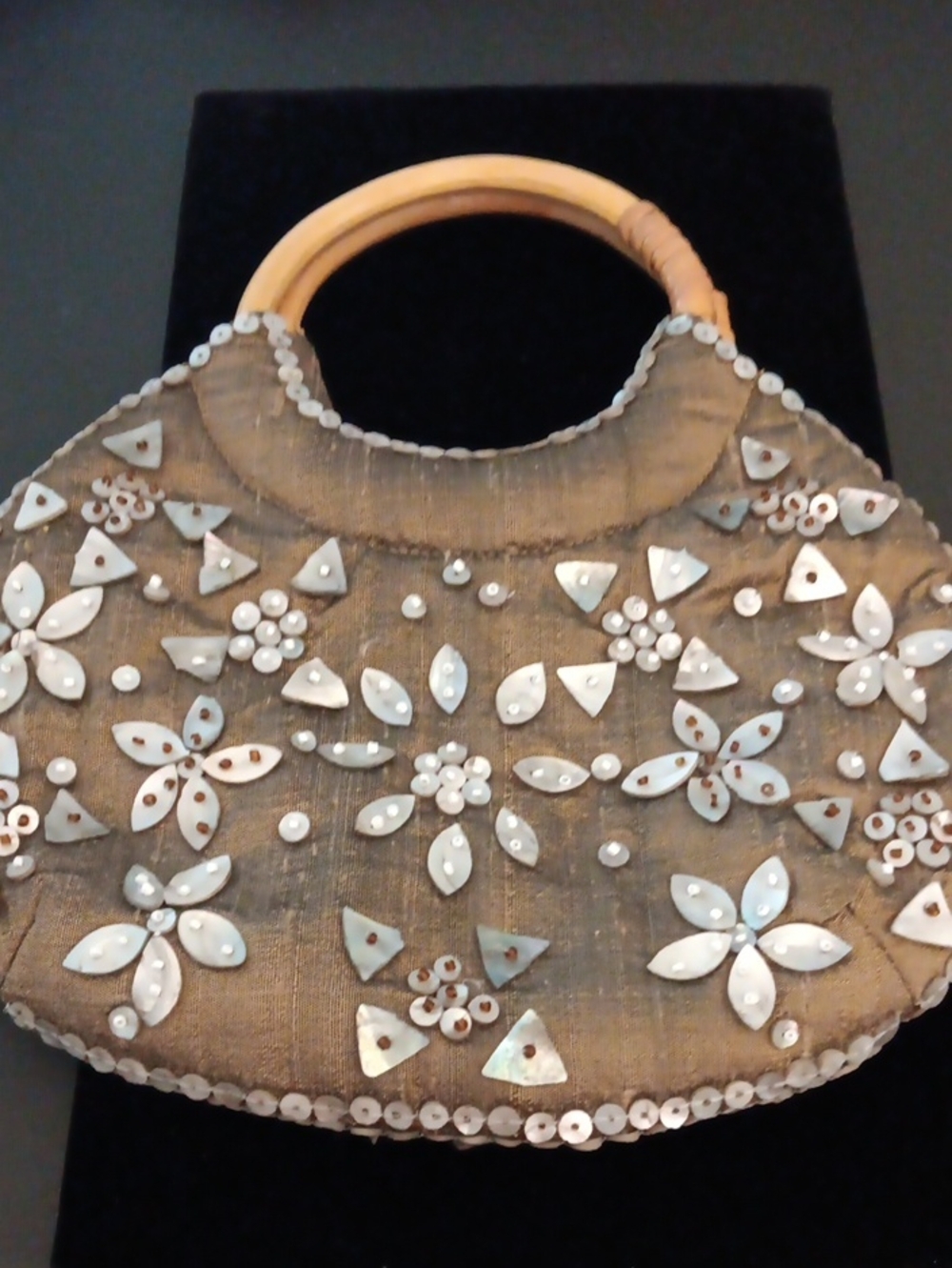 Coldwater Creek Embellished Mother of Pearl Evening Handbag with Bamboo Handles.